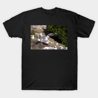 Seagull colony. T-Shirt